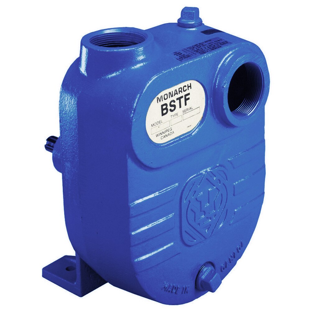 FPS 2 HP Self Priming Transmission Pump End Only (FBSTF-2)