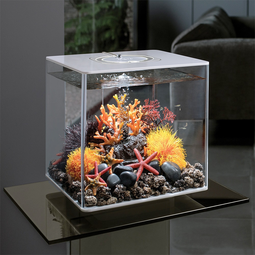 biOrb CUBE 30 Transparent Aquarium w/ MCR