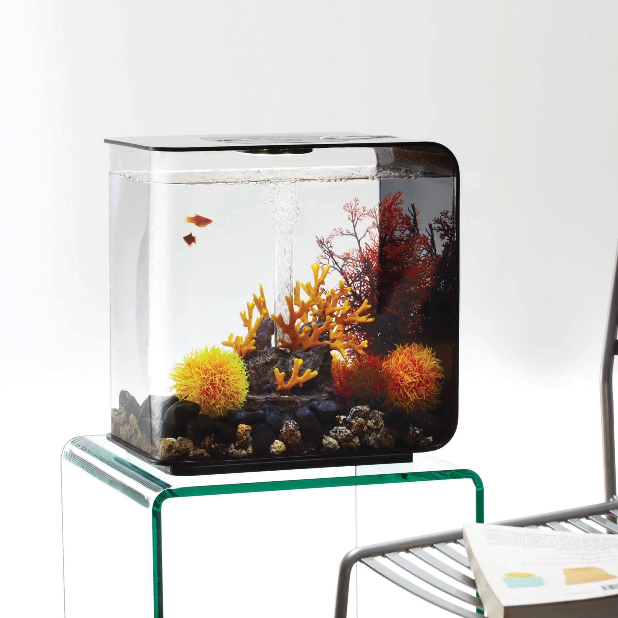 black light aquarium black light aquarium