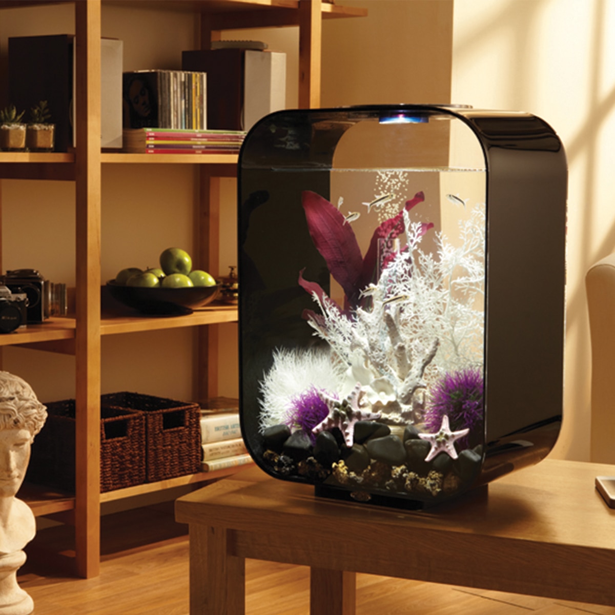 aquarium black light aquarium black light