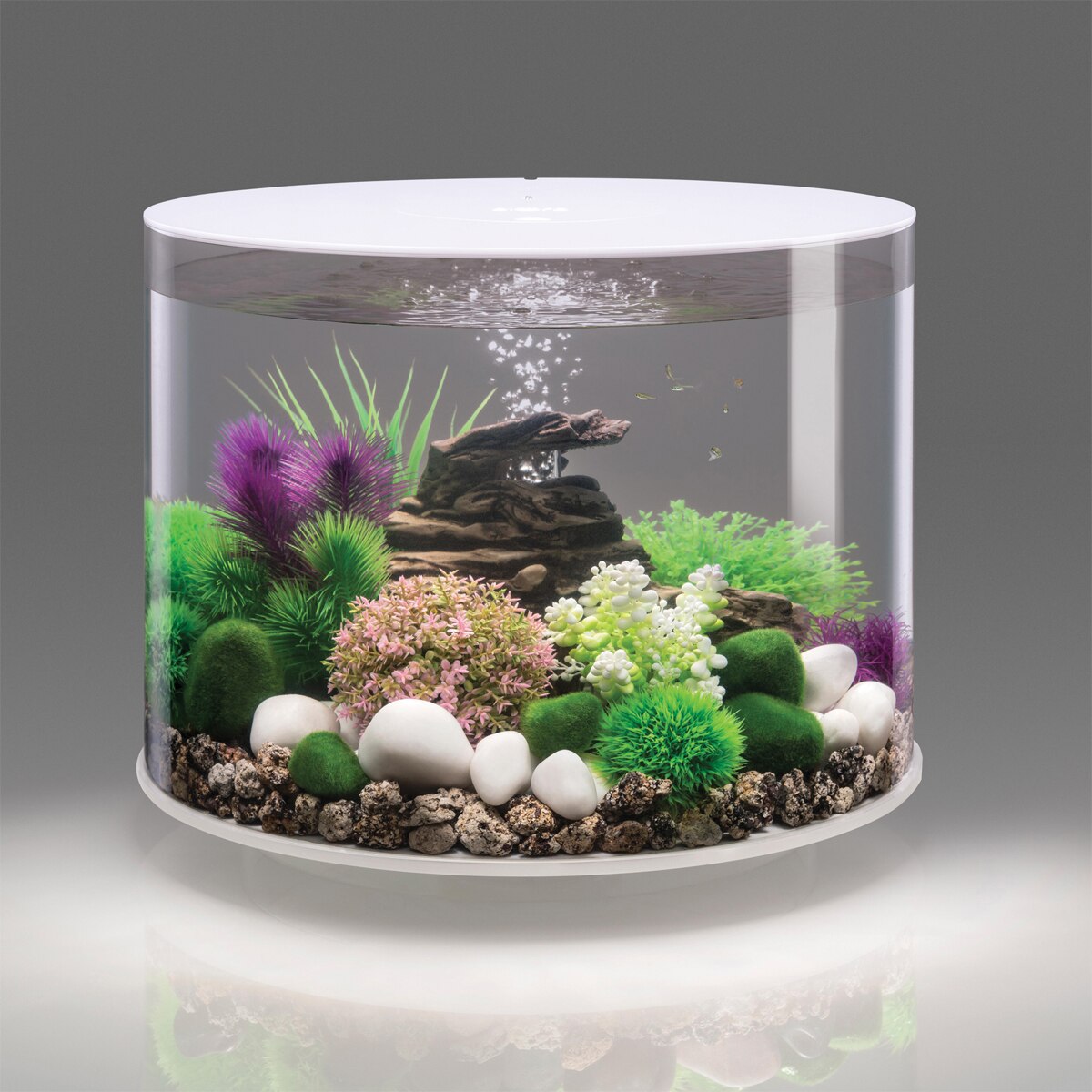biOrb Tube 35 (9.2 Gallon) Black Aquarium w/LED Colour Changing Light